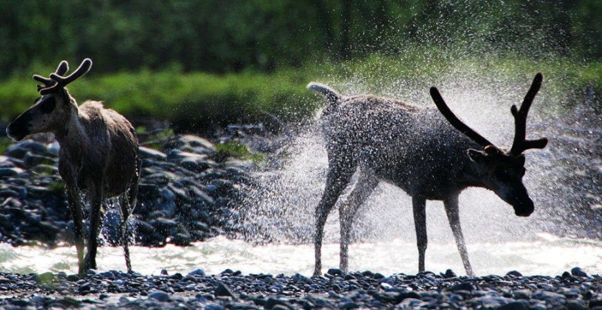 Name:  20032009078098800123750.jpg
Views: 425
Size:  210.5 KB