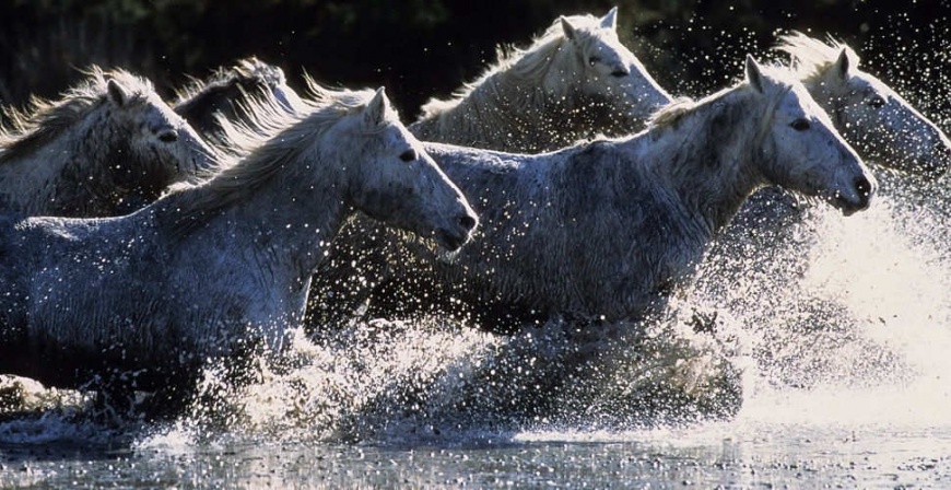 Name:  20032009078883000123750.jpg
Views: 291
Size:  200.2 KB