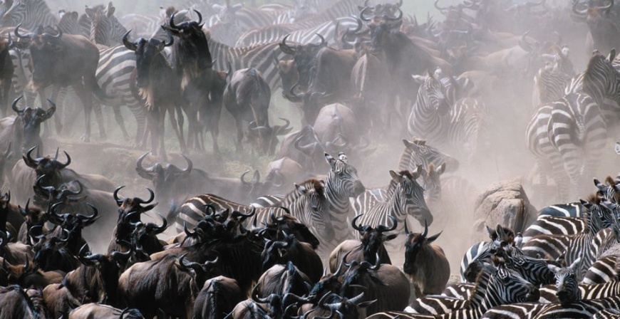 Name:  20032009079045000123750.jpg
Views: 305
Size:  153.4 KB