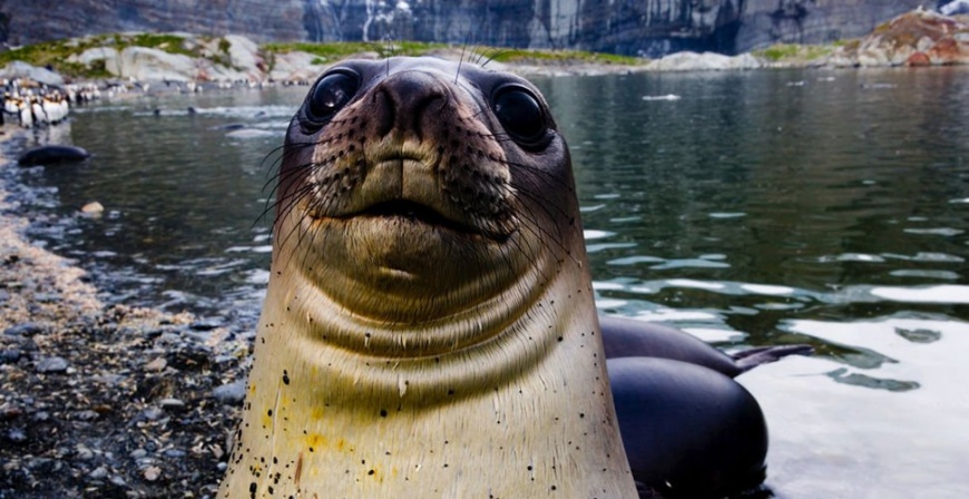 Name:  20032009080293000123750.jpg
Views: 261
Size:  152.1 KB