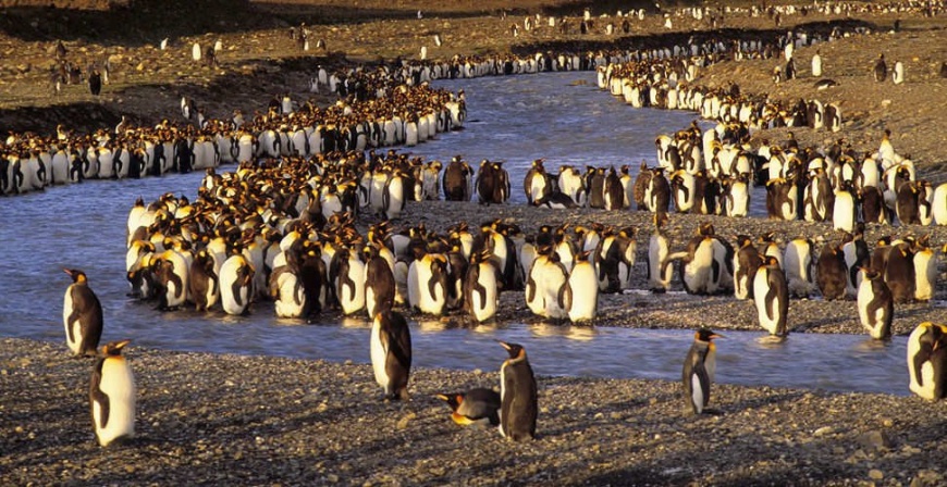 Name:  20032009080656500123750.jpg
Views: 282
Size:  231.5 KB