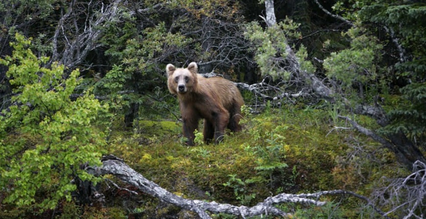 Name:  20032009081508100123750.jpg
Views: 399
Size:  207.1 KB