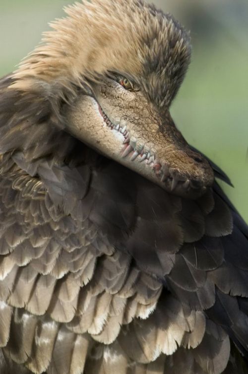 Name:  12_819.jpg
Views: 425
Size:  52.7 KB