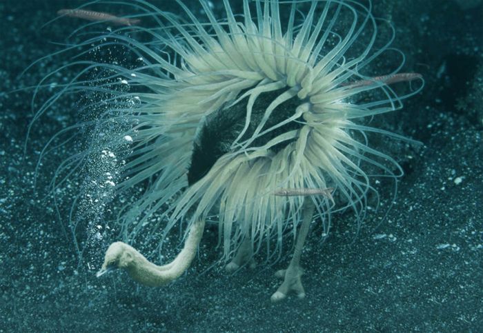 Name:  17_202.jpg
Views: 491
Size:  91.7 KB