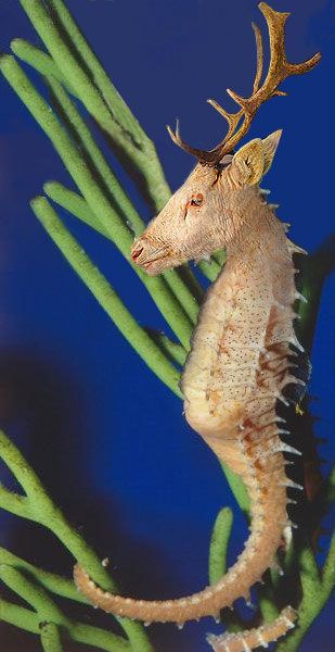 Name:  21_896.jpg
Views: 403
Size:  35.1 KB