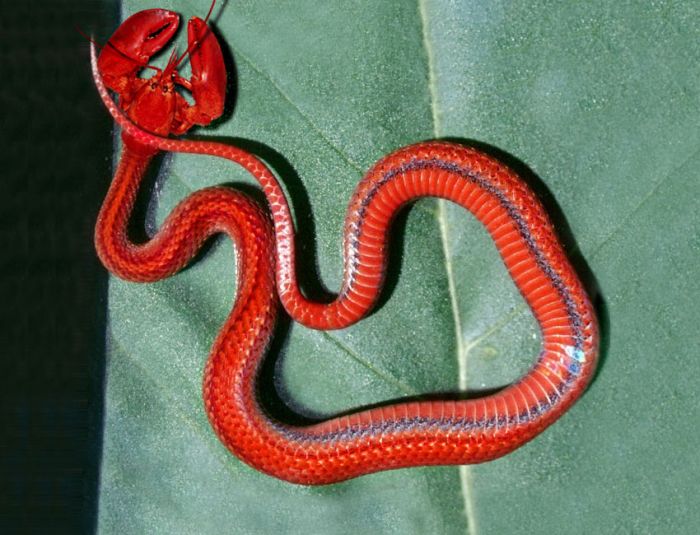 Name:  27_180.jpg
Views: 408
Size:  73.2 KB