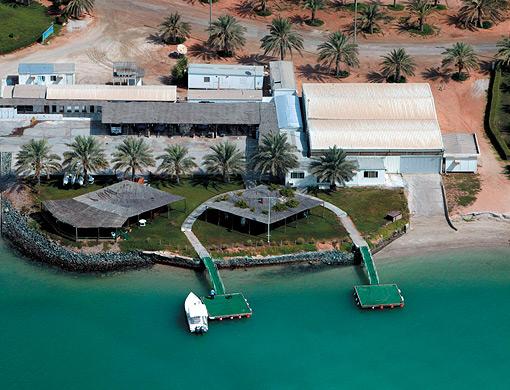 Name:  download_005.jpg
Views: 353
Size:  45.2 KB