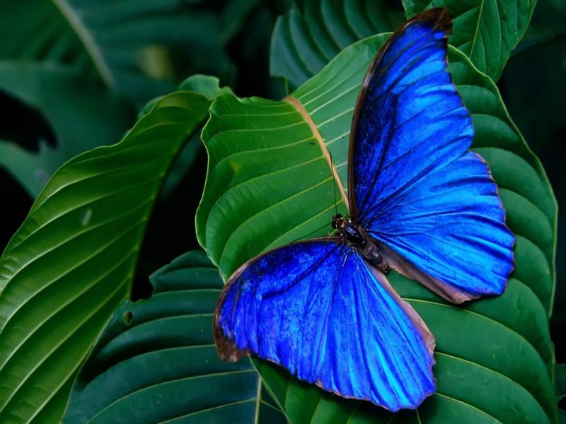 Name:  but3uj1.jpg
Views: 233
Size:  62.8 KB