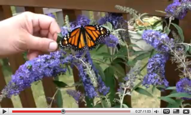 Name:  b48fo6.jpg
Views: 293
Size:  38.6 KB