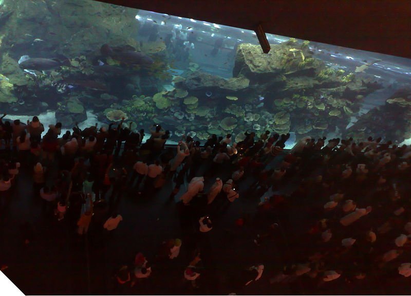 Name:  38570_3_253.jpg
Views: 361
Size:  62.4 KB