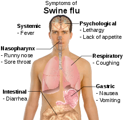 Name:  250px-Symptoms_of_swine_flu.svg.png
Views: 252
Size:  52.6 KB