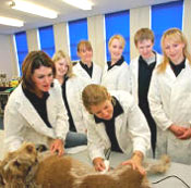 Name:  2ilk4qo.jpg
Views: 150
Size:  12.1 KB