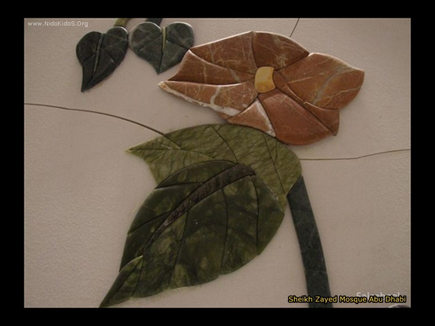 Name:  slide19r.jpg
Views: 270
Size:  109.3 KB