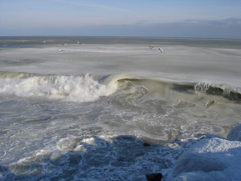 Name:  download_008.jpg
Views: 208
Size:  62.2 KB