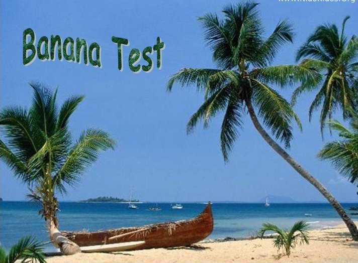 Name:  38570_Slide1_3.jpg
Views: 248
Size:  82.0 KB