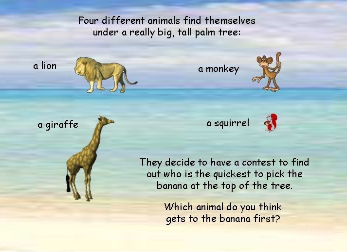 Name:  38570_Slide2_3.jpg
Views: 225
Size:  65.7 KB