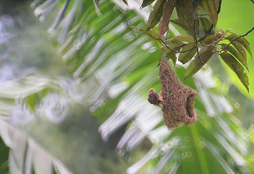 Name:  download.jpg
Views: 968
Size:  42.9 KB