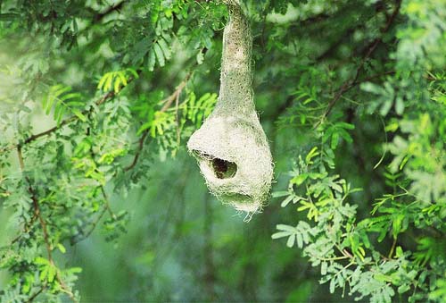 Name:  download_003.jpg
Views: 906
Size:  60.7 KB