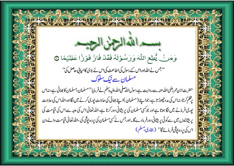 Name:  wvq0zd.jpg
Views: 3302
Size:  121.7 KB