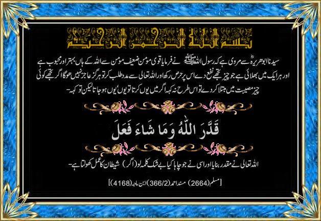 Name:  2rg199k.jpg
Views: 1577
Size:  65.1 KB