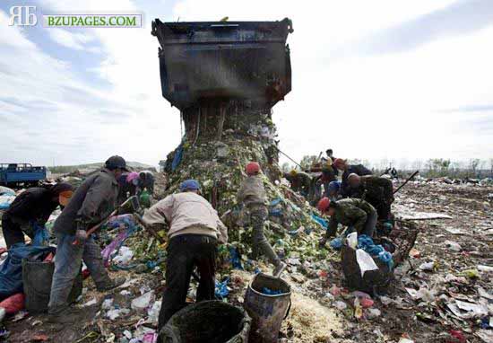 Name:  The problem of garbage in China (4).jpg
Views: 2784
Size:  54.2 KB