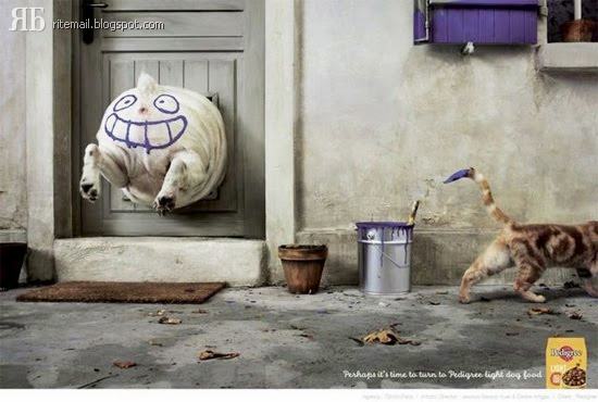 Name:  cat of the day.jpg
Views: 983
Size:  36.3 KB