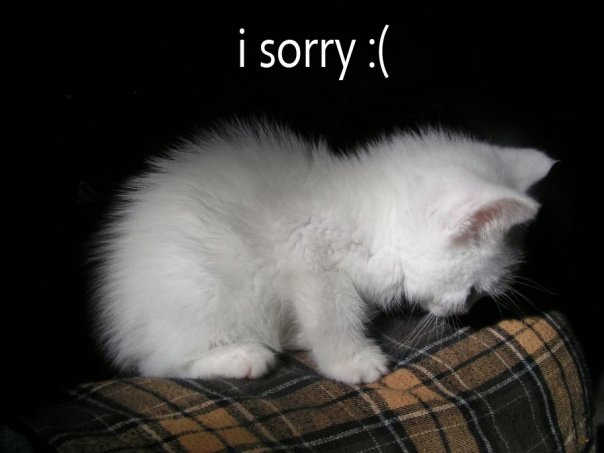 Name:  i am sorry cat saying.jpg
Views: 8796
Size:  34.3 KB