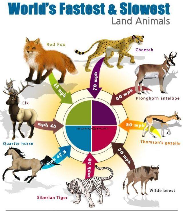 Name:  1.JPG
Views: 280
Size:  76.0 KB