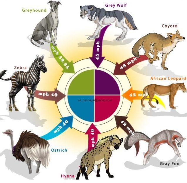 Name:  2.JPG
Views: 268
Size:  63.5 KB