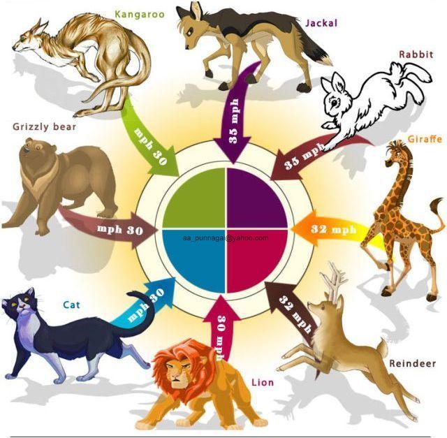 Name:  3.JPG
Views: 293
Size:  69.2 KB