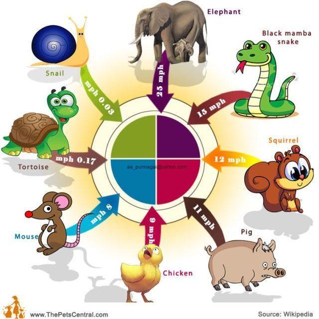 Name:  4.JPG
Views: 259
Size:  61.6 KB