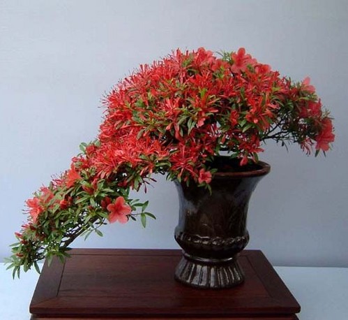 Name:  download_005.jpg
Views: 433
Size:  54.2 KB