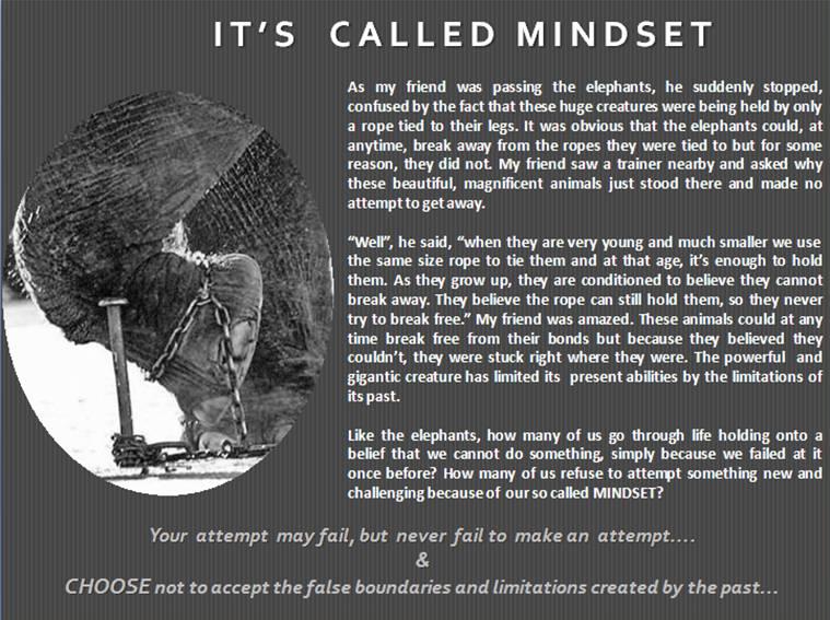 Name:  mindset.JPG
Views: 130
Size:  95.3 KB