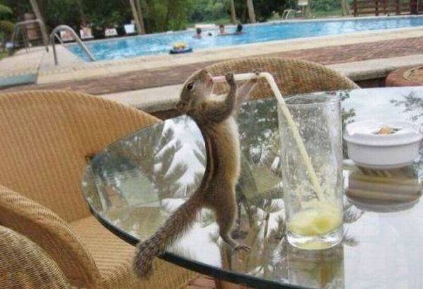 Name:  download.jpg
Views: 571
Size:  39.7 KB