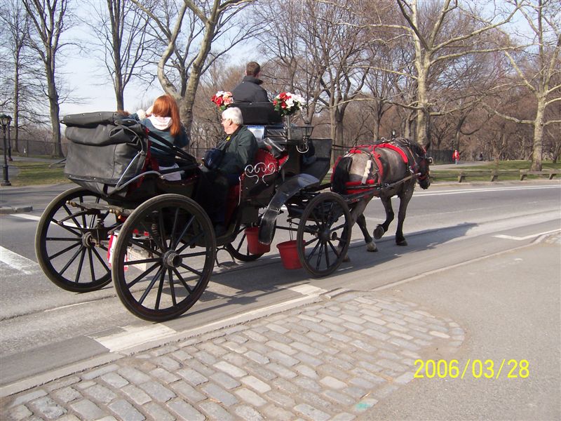 Name:  4.jpeg
Views: 334
Size:  130.8 KB