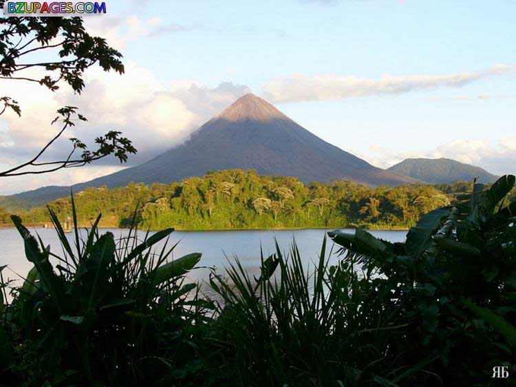 Name:  Costa Rica Image-005.jpg
Views: 458
Size:  78.3 KB