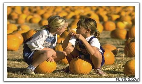 Name:  4.jpg
Views: 297
Size:  29.6 KB