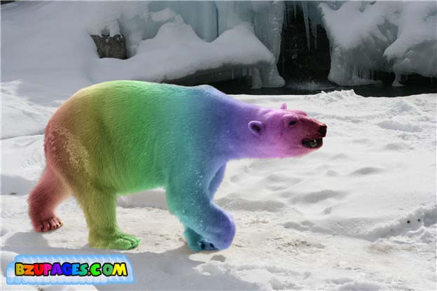 Name:  Colorful Life beautiful Photos (9).jpg
Views: 990
Size:  47.4 KB