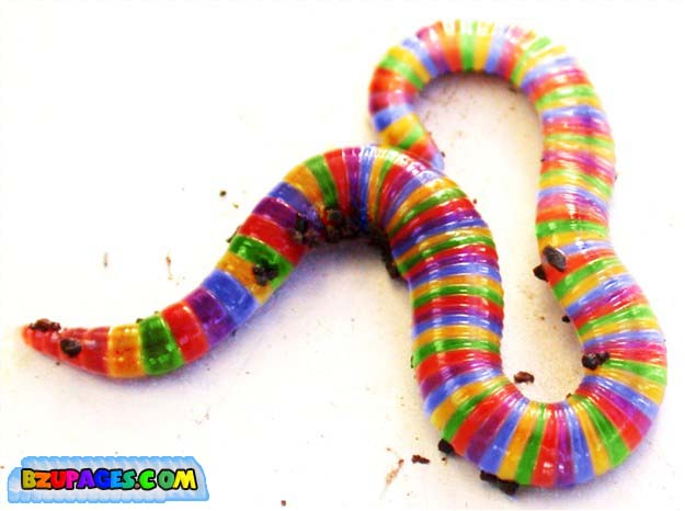 Name:  Colorful Life beautiful Photos (5).jpg
Views: 707
Size:  52.1 KB