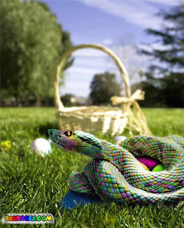 Name:  Colorful Life beautiful Photos (29).jpg
Views: 689
Size:  76.9 KB