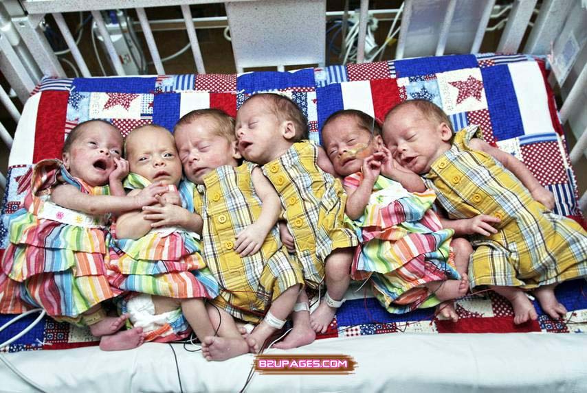 Name:  Birth of Six Kids At Once.jpg
Views: 3589
Size:  131.2 KB