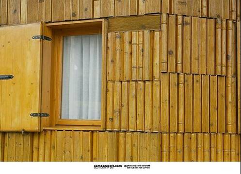 Name:  carpenter woody things (21).jpg
Views: 452
Size:  30.9 KB