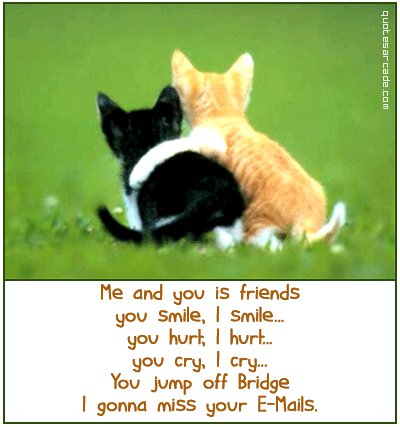 miss you friend. Name: me and you is friend.jpg