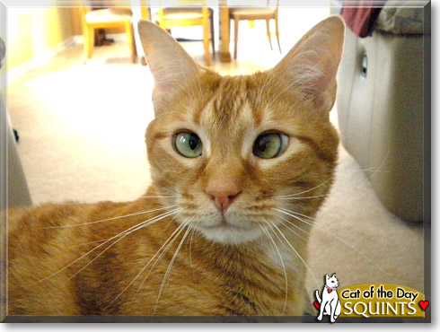 Name:  26.jpg
Views: 416
Size:  60.7 KB