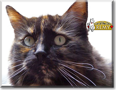 Name:  27.jpg
Views: 411
Size:  62.2 KB