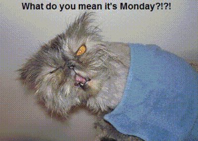 Name:  what do you means its monday.jpg
Views: 650
Size:  40.9 KB