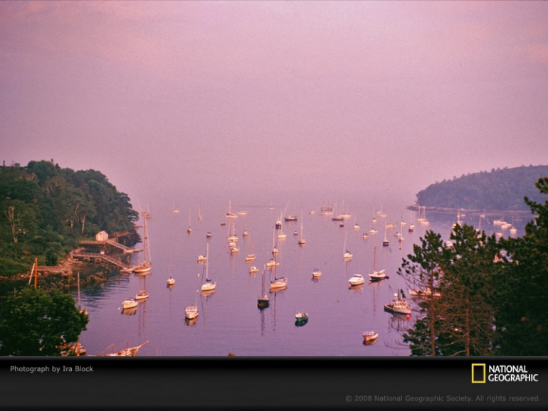 Name:  purple-sailboats-block-1002956-sw.jpg
Views: 353
Size:  123.6 KB