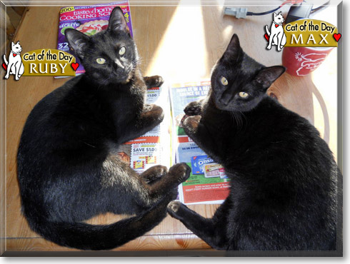 Name:  12.jpg
Views: 483
Size:  64.0 KB