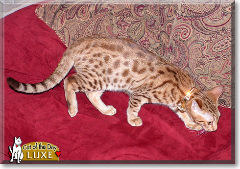 Name:  20.jpg
Views: 437
Size:  83.2 KB