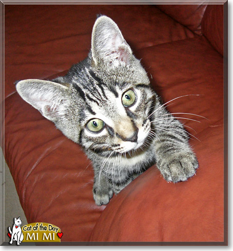 Name:  20.jpg
Views: 454
Size:  76.8 KB